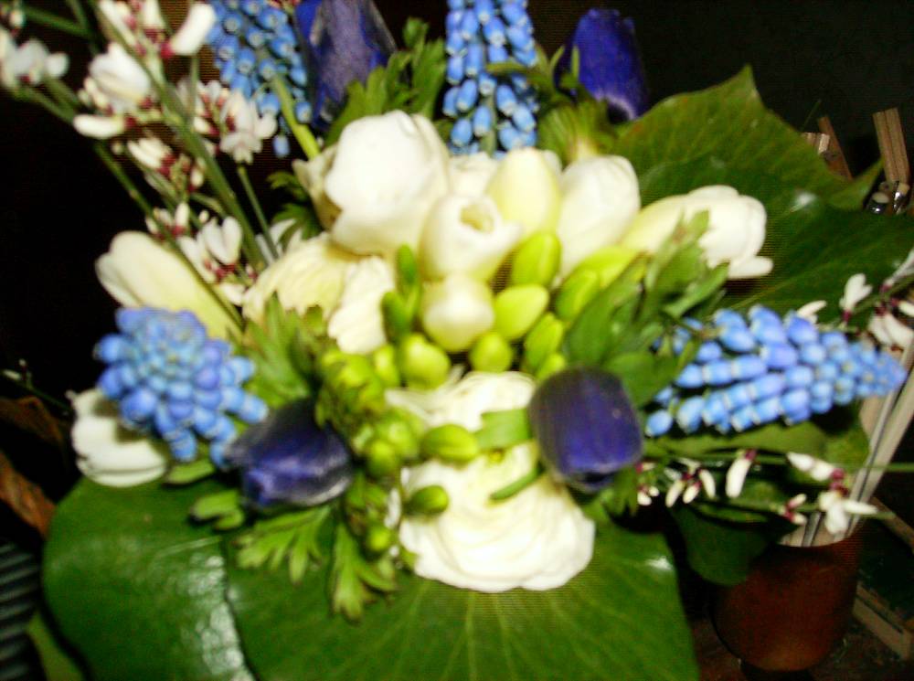 Bienvenue sur la page daccueil